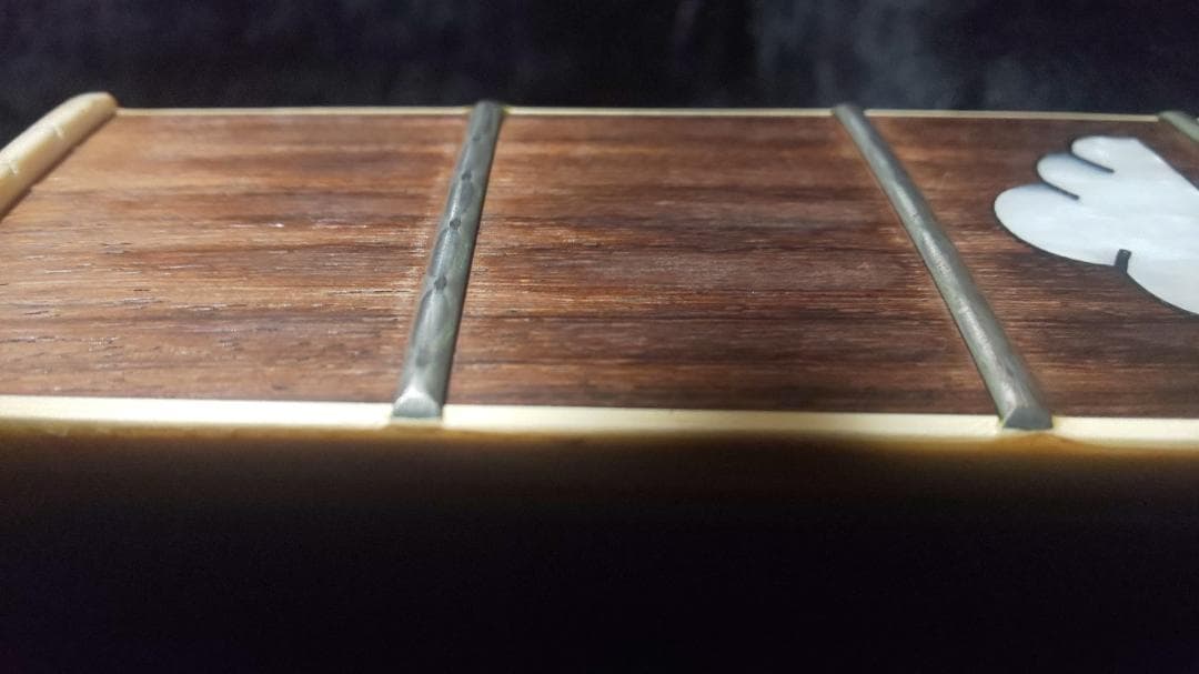 FERNANDES　MG-120X　hideモデル