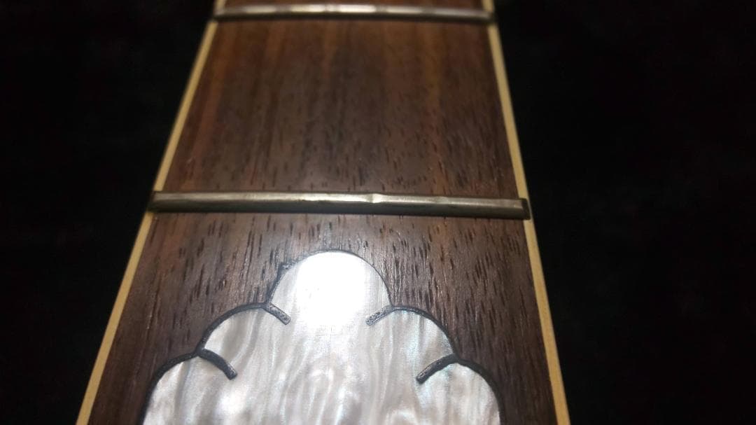 FERNANDES　MG-120X　hideモデル