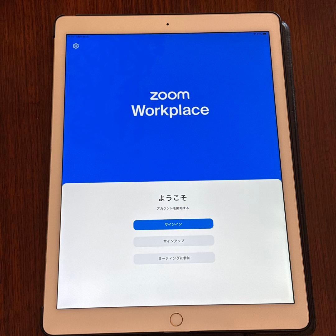 iPad Pro 12.9 32GB ML0H2J/A Pencil ケース付
