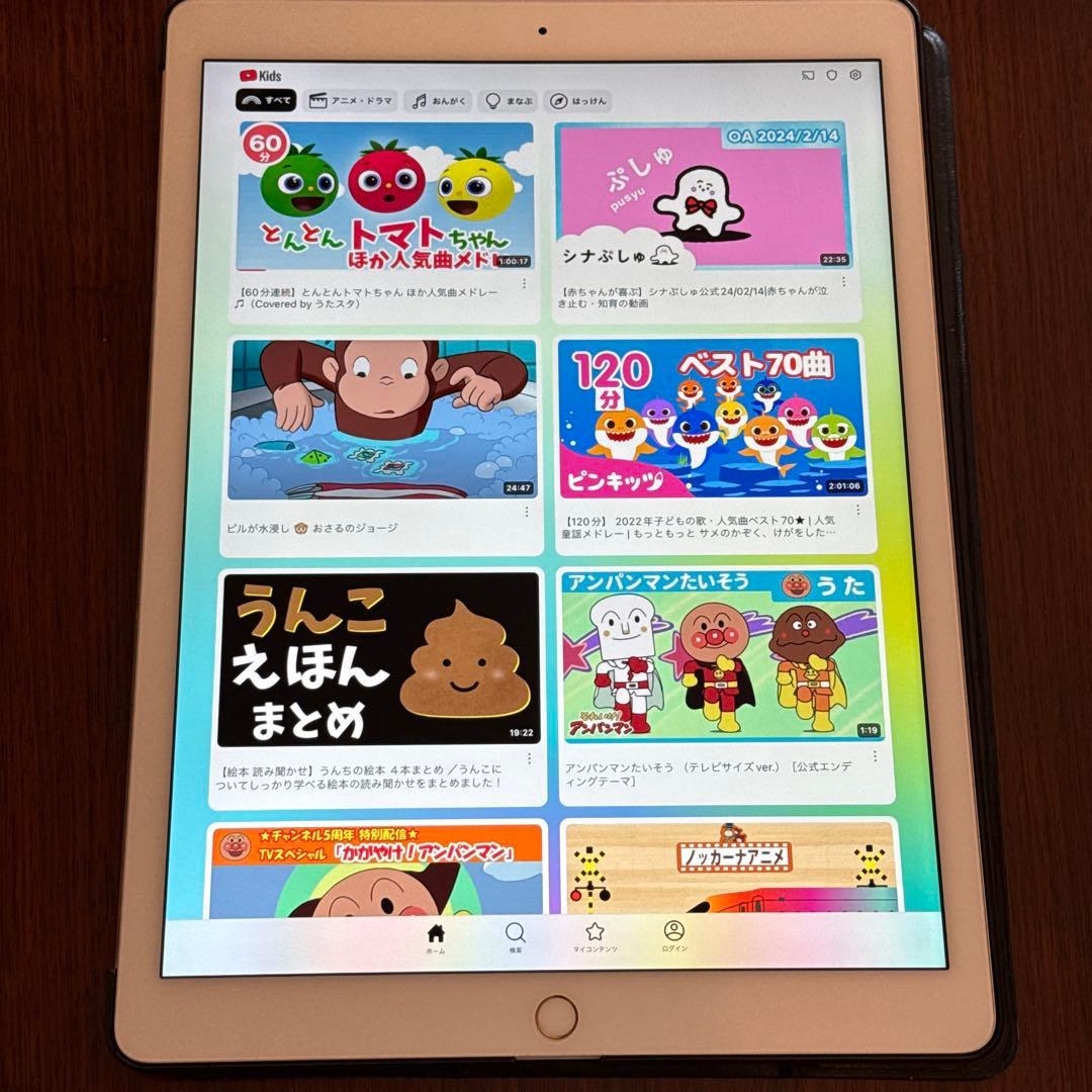 iPad Pro 12.9 32GB ML0H2J/A Pencil ケース付