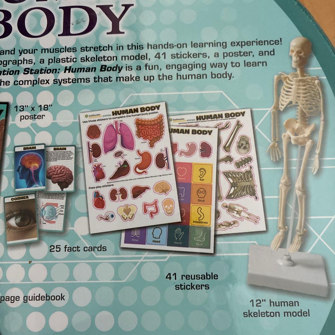 Human Body サイエンス 人体 キット 英語