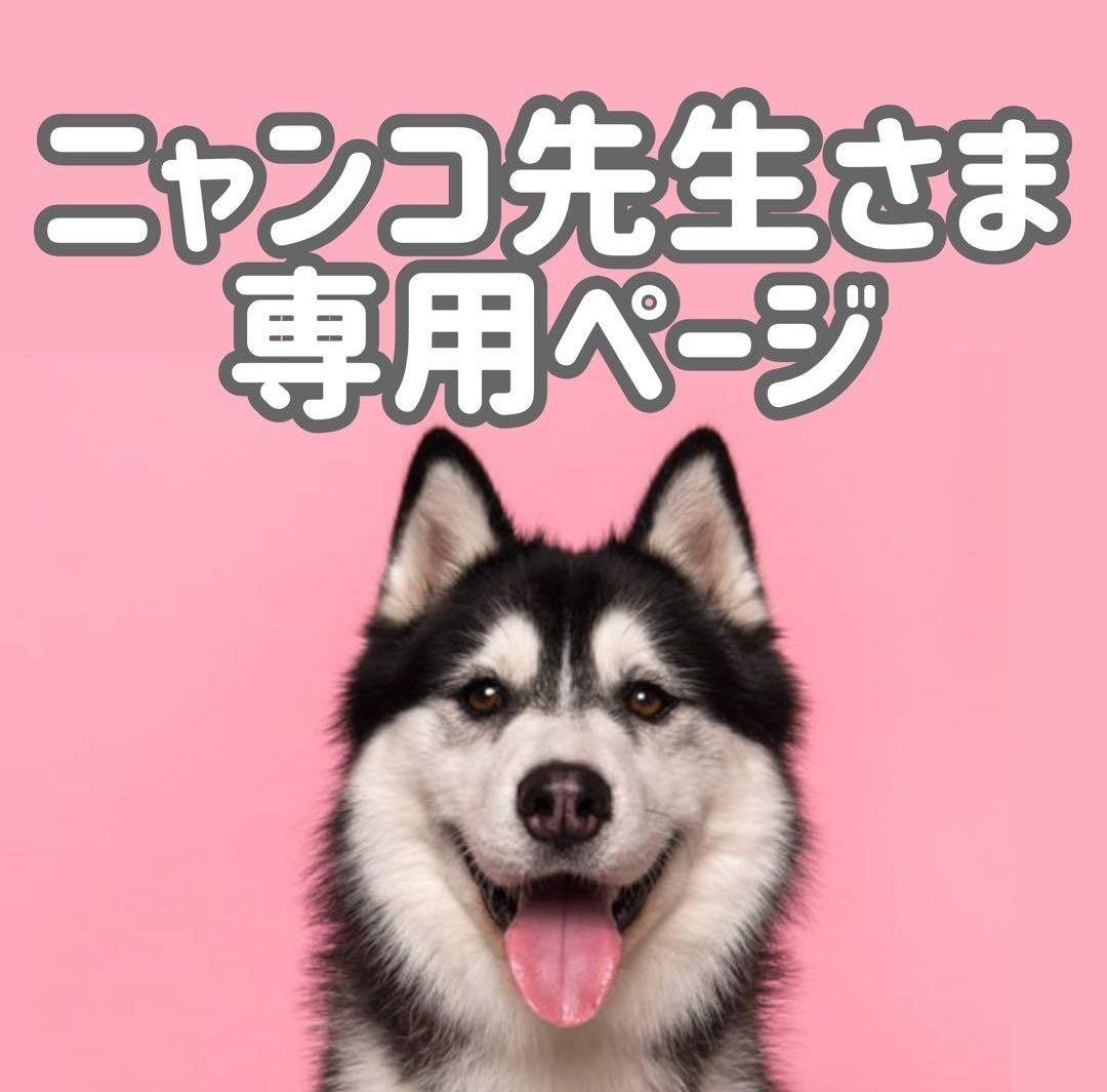 Aラム15*2◯● ニャンコ先生ページ●◯