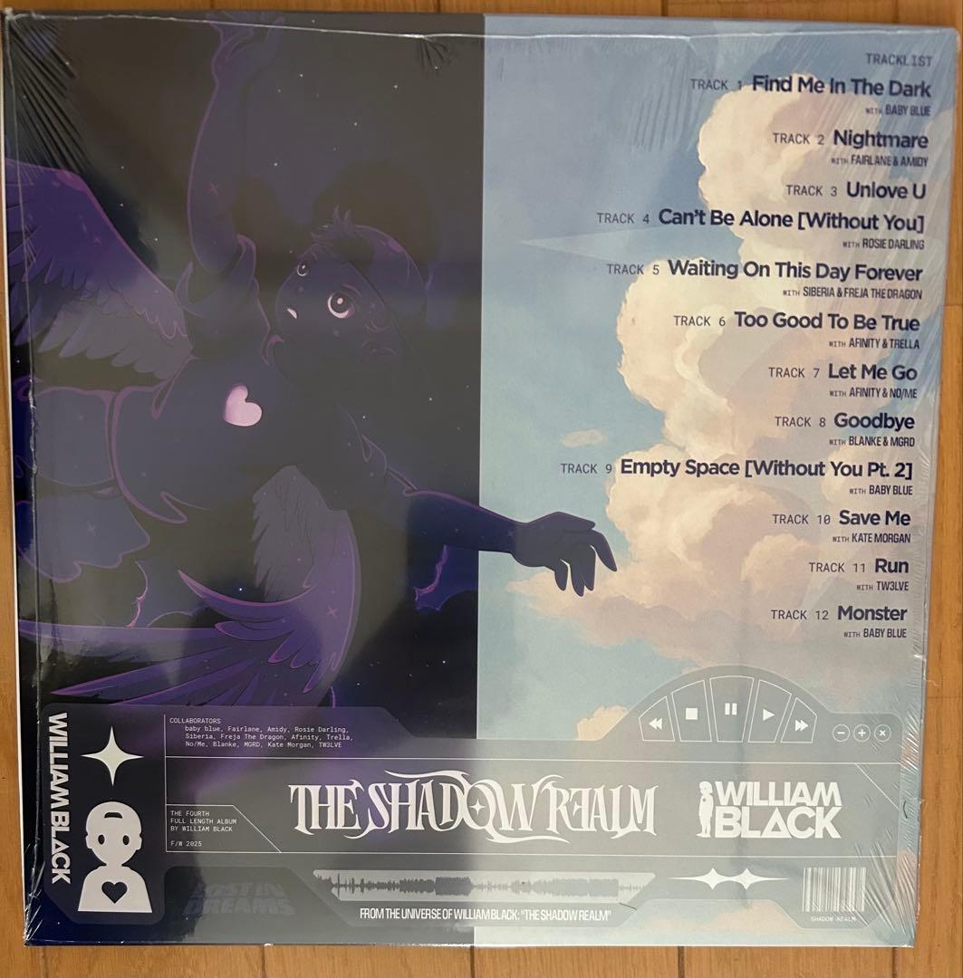 洋楽 WILLIAM BLACK THE SHADOW REALM vinyl