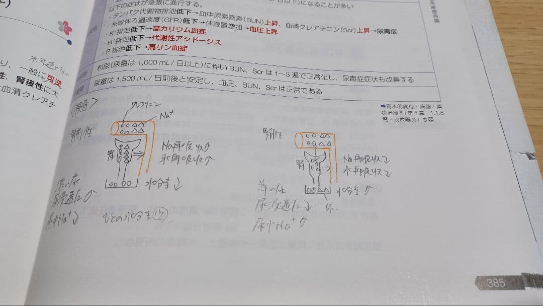 薬剤師国家試験　青本青問　必須問題集　領域別　回数別　セット