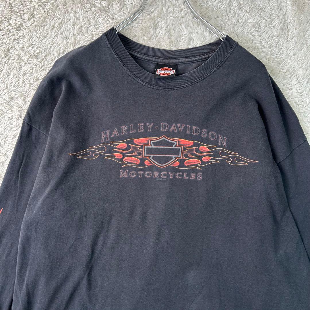 【希少】Harley-Davidson 長袖 ロンT ファイヤー フレイム XL
