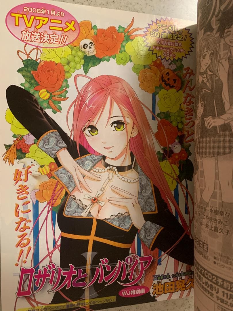 週刊少年ジャンプ 2007年 NO.43号 ONE PIECE ワンピース