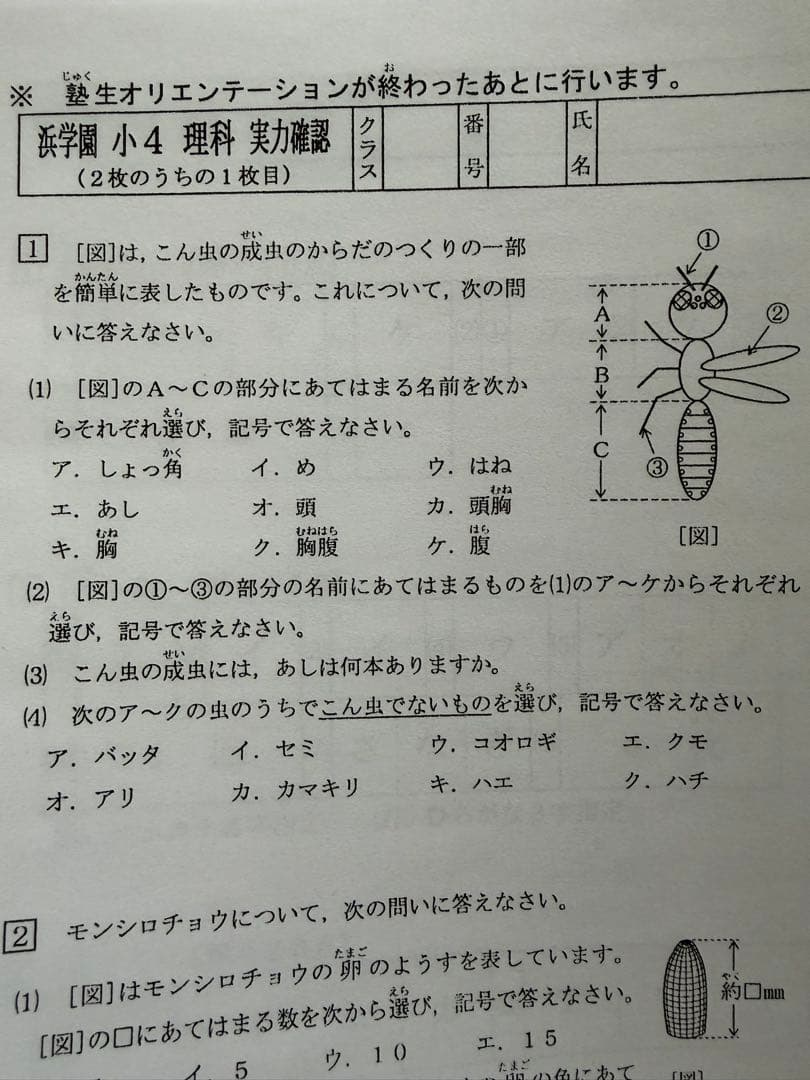 2026年　Vクラス　復習テスト　小4 理科　算数　国語　3科目　2023年
