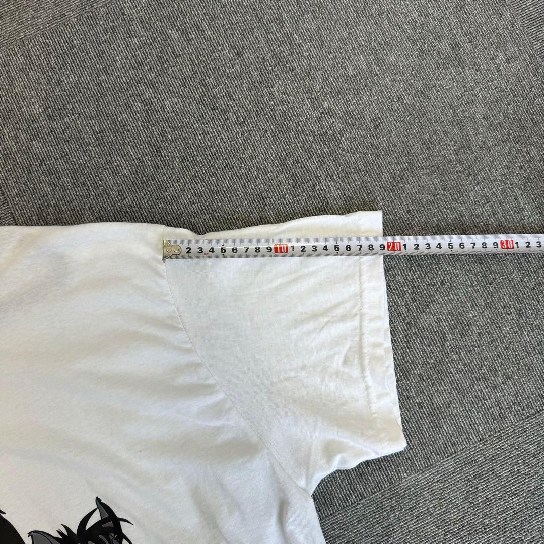 美品 ディズニー ライオン・キング スカー Tシャツ ギルダン ヘビーコットン