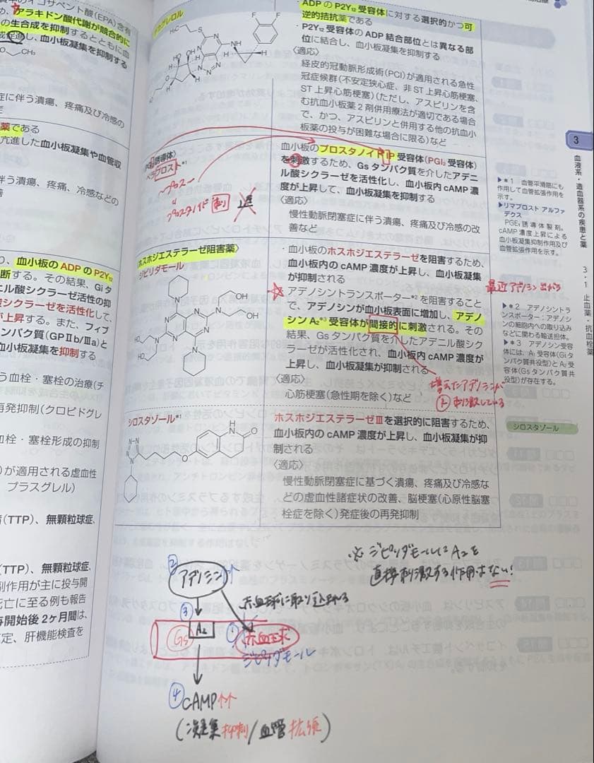 【第110回改訂第14版薬剤師国家試験対策参考書】9巻セット 薬ゼミ 青本
