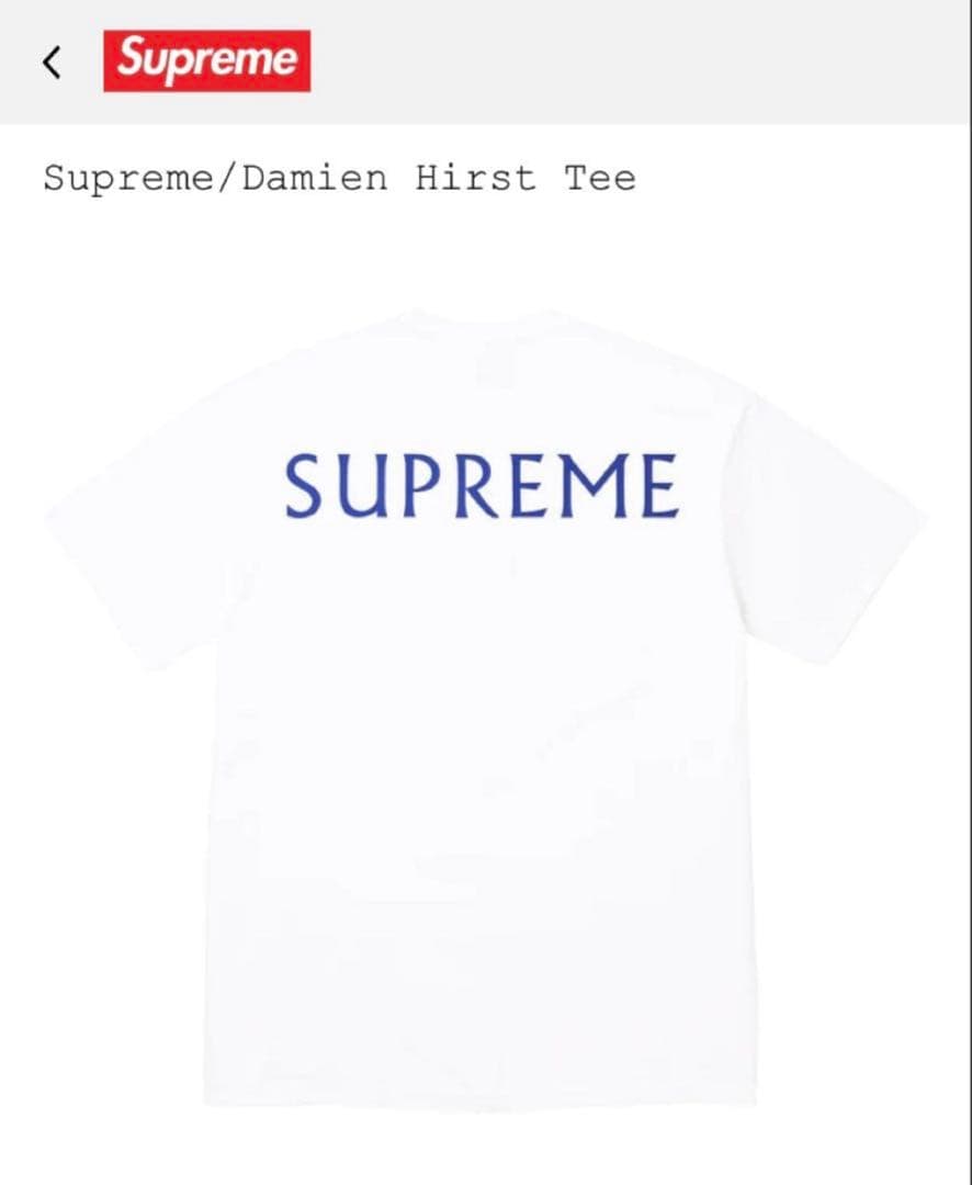 25ss supreme Damien hirst ダミアンハースト