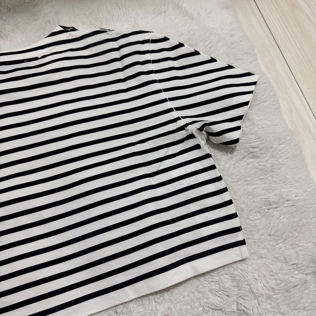 m*i様 miu miu ストライプ ボーダー ミニ丈 Tシャツ