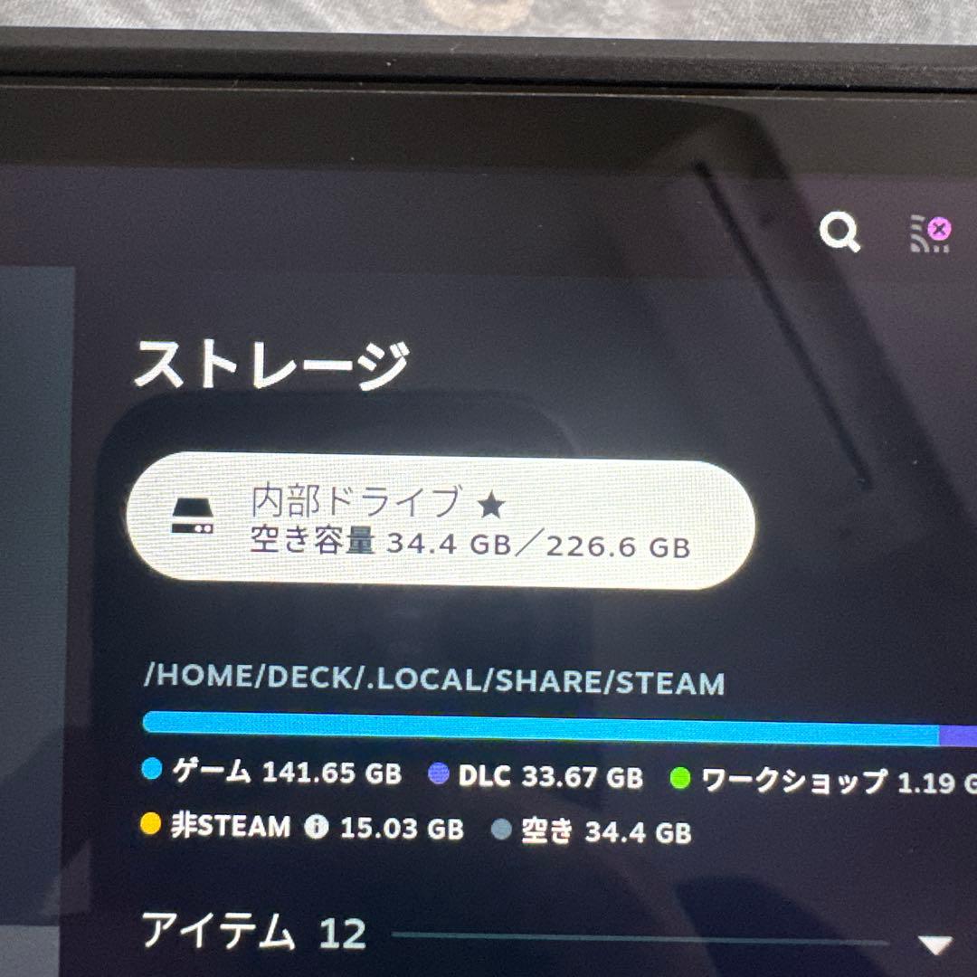 その他 Steamdeck LCD 256G