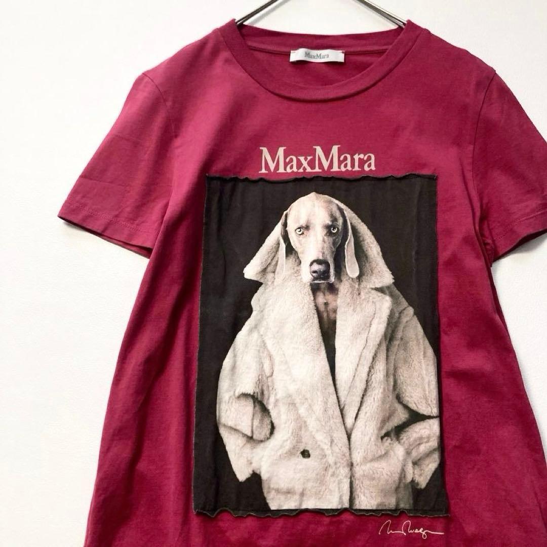 【イク】マックスマーラ　滝沢真紀子着用✨ ドッグプリントTシャツ 希少色