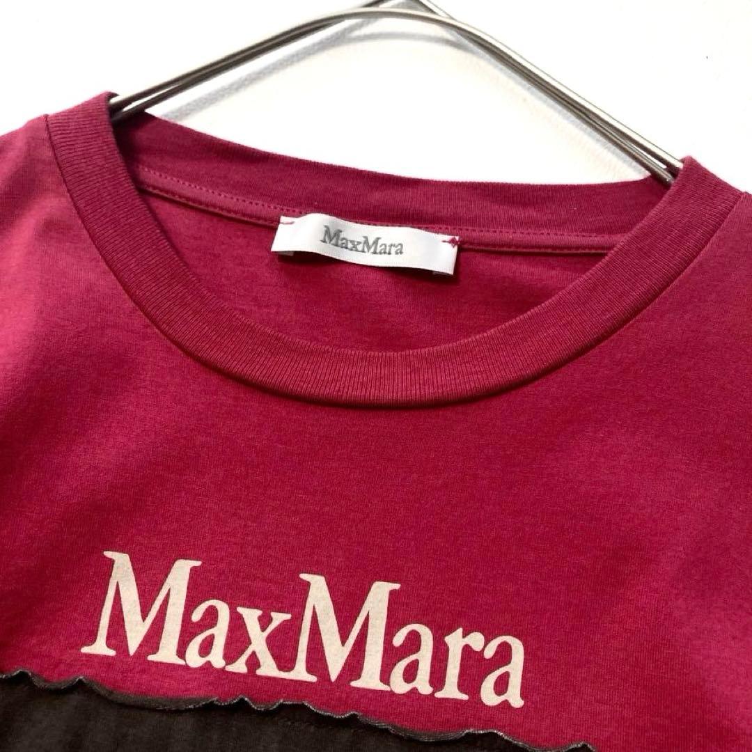 【イク】マックスマーラ　滝沢真紀子着用✨ ドッグプリントTシャツ 希少色