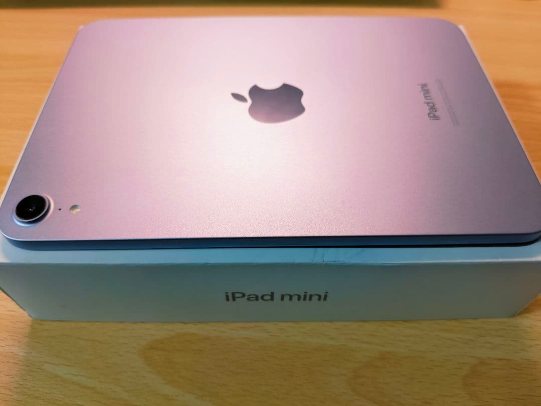 ね*ぃ様 Apple iPad mini A17pro (iPad mini 第