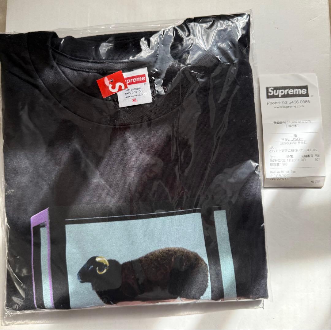Supreme Damien Hirst Tee Black XL 新品