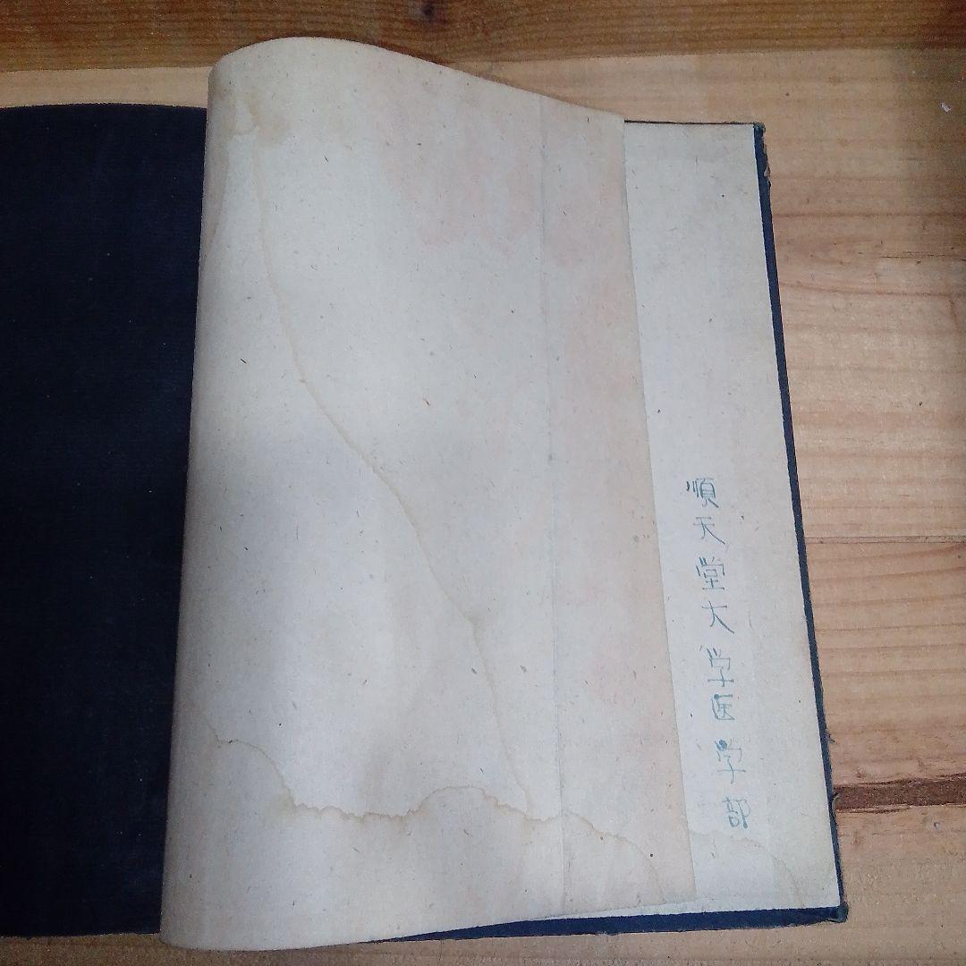 1920年 ドイツ語解剖学書 人体図譜 アンティーク医学書