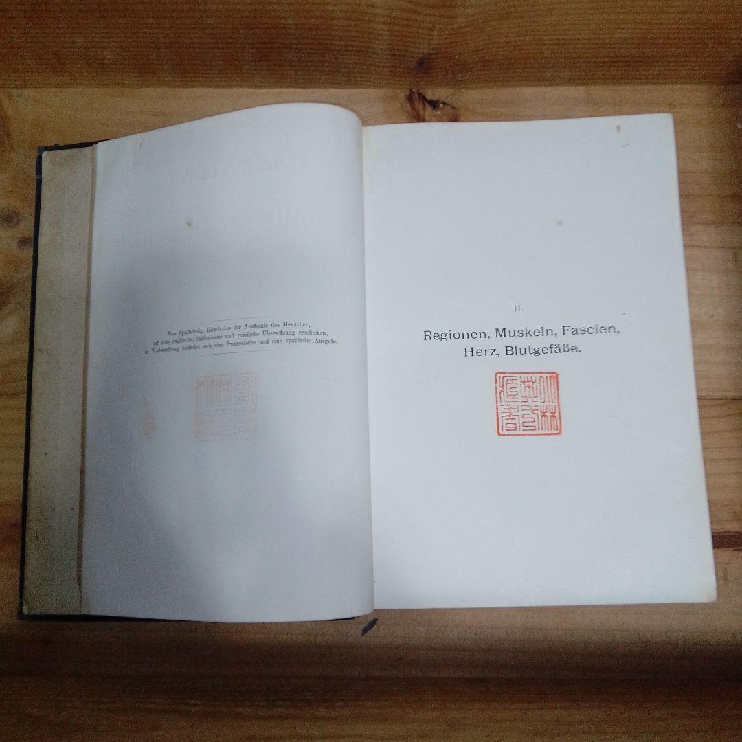 1920年 ドイツ語解剖学書 人体図譜 アンティーク医学書