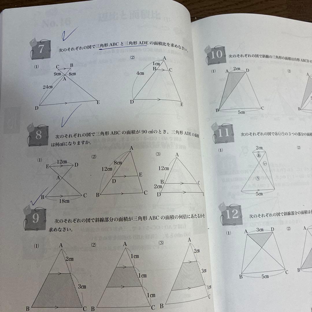 小5 算数 最高レベル問題集 全12巻 解答付き　フルセット