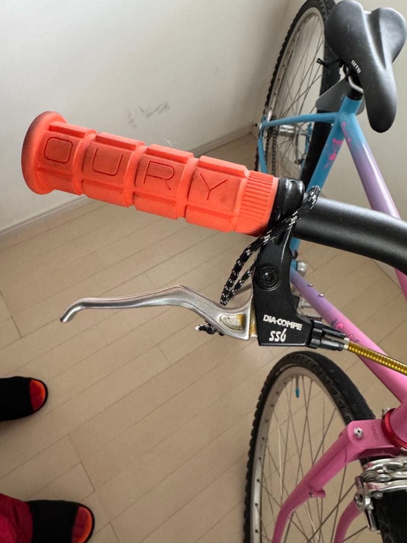 chick 　CRUST BIKES florida man