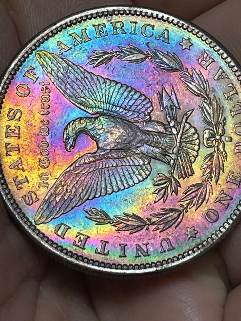 モンスタートーン　アメリカ　1881年　S モルガンダラー　S 銀貨
