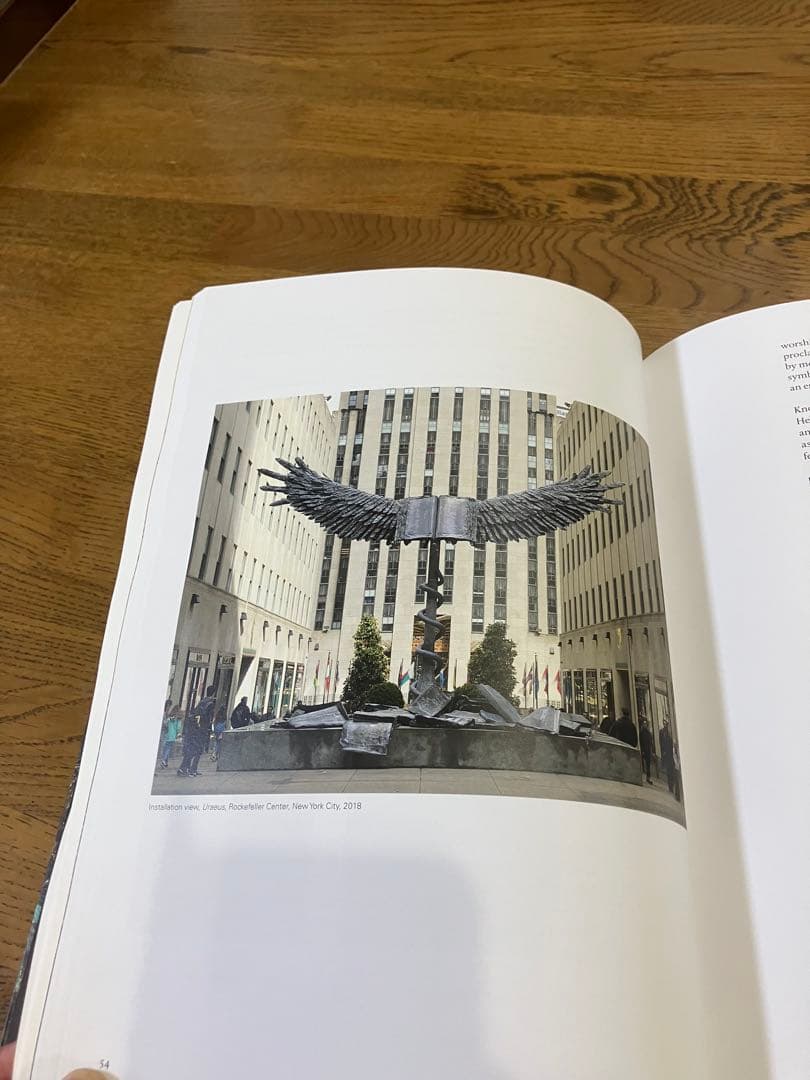 Anselm Kiefer Fallen Angels アンゼルム キーファー