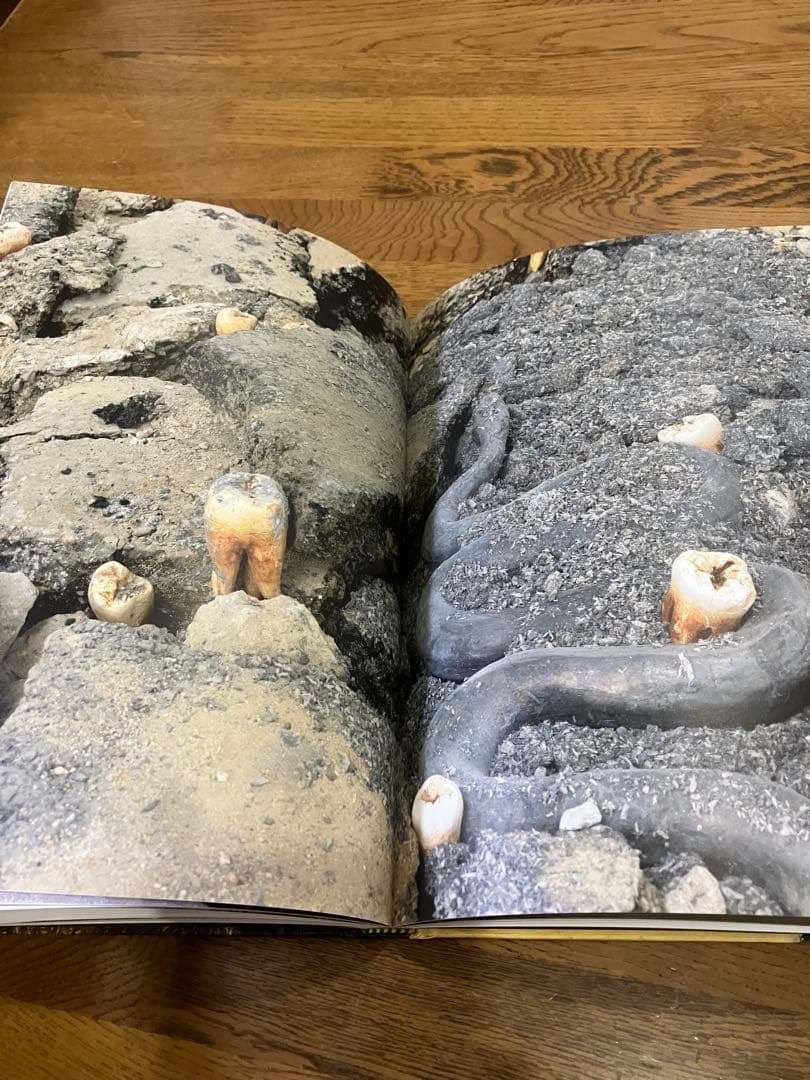 Anselm Kiefer Fallen Angels アンゼルム キーファー