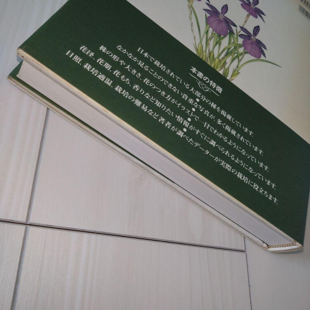 原種洋蘭大図鑑