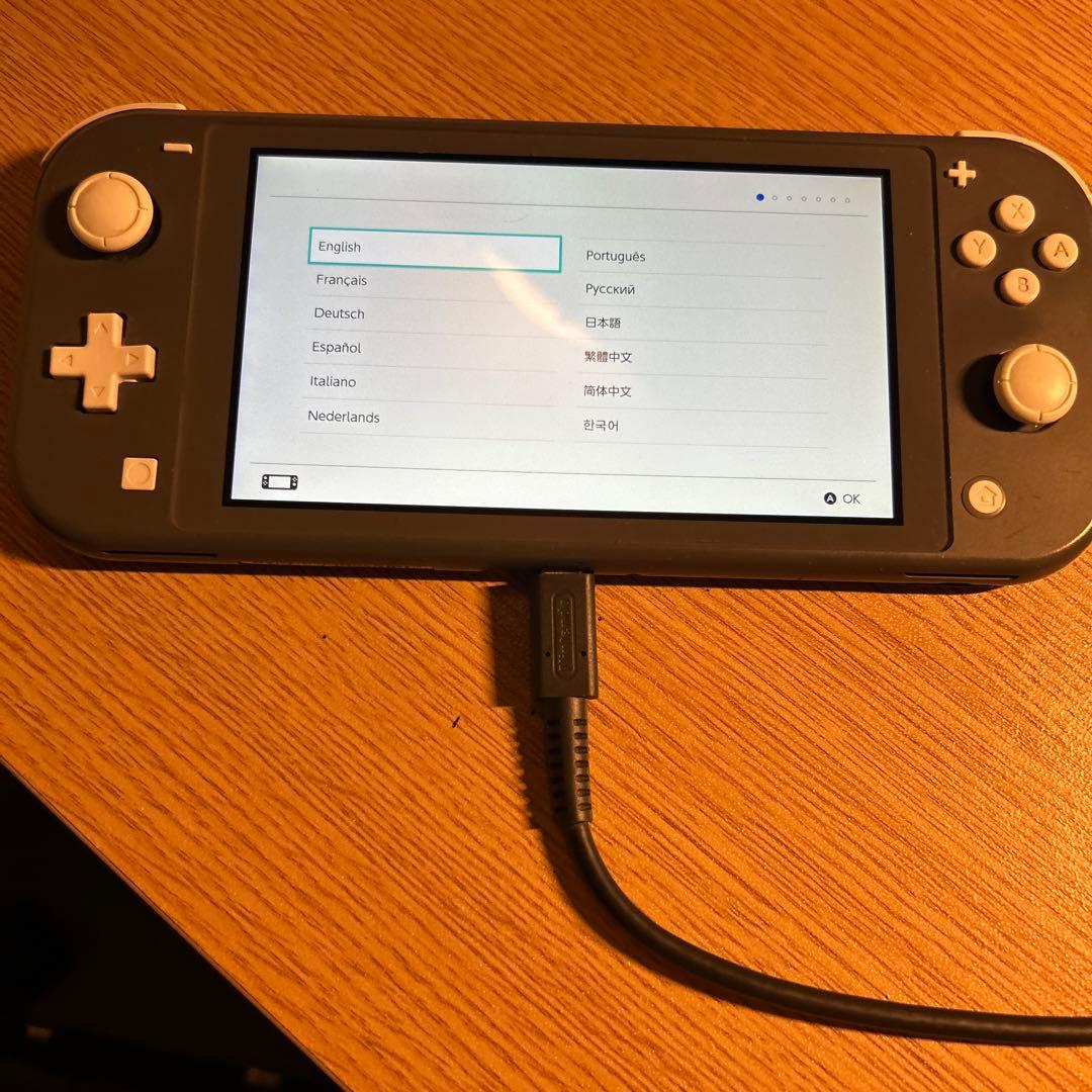 Nintendo Switch Lite グレー 本体　初期化済み