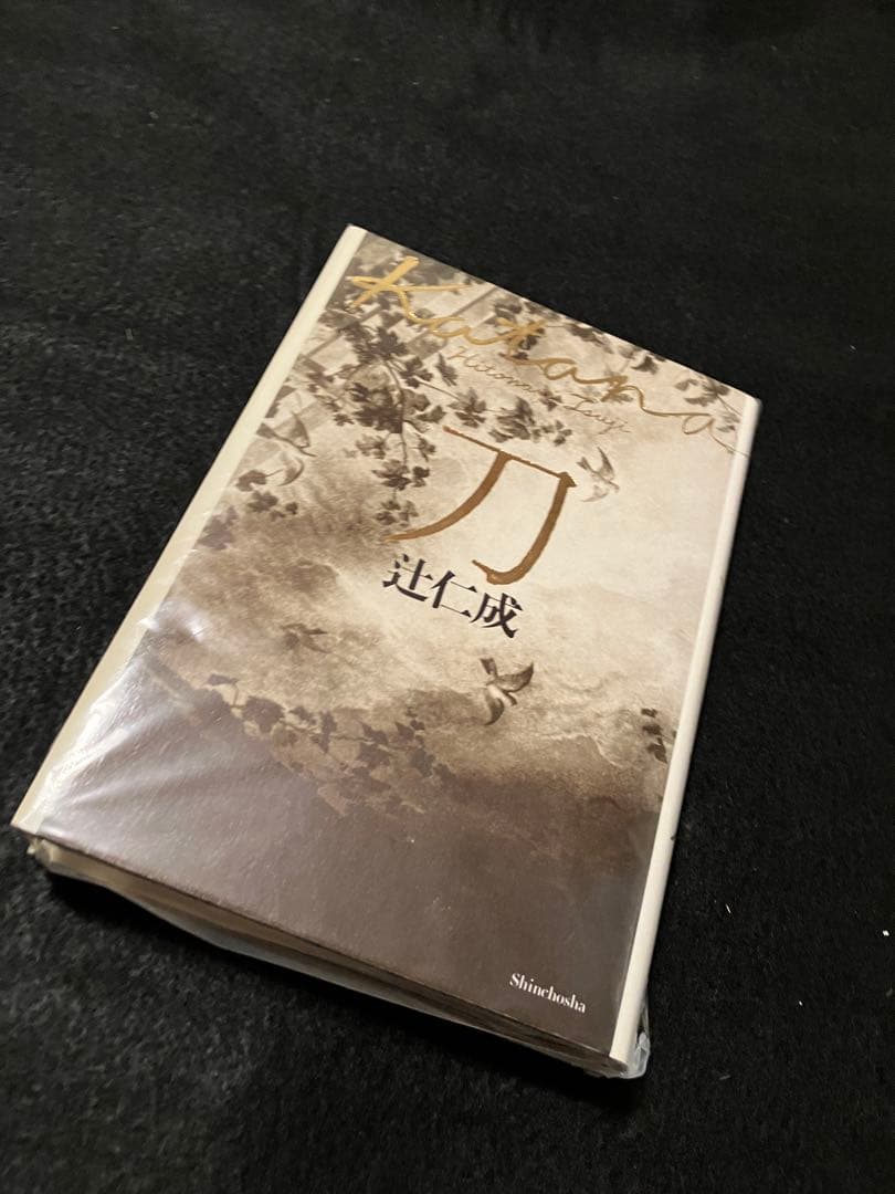 辻仁成　刀