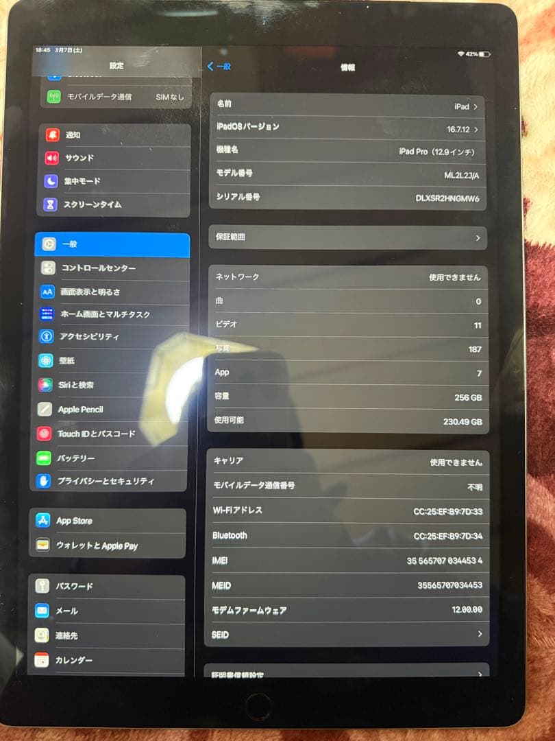 iPad Pro (12.9インチ) 256GB 第一世代