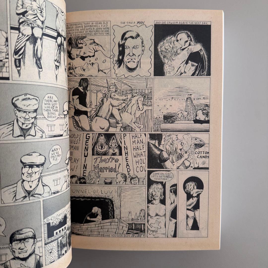 アート・デザイン・音楽 Raymond Pettibon HOMO AMERICANUS