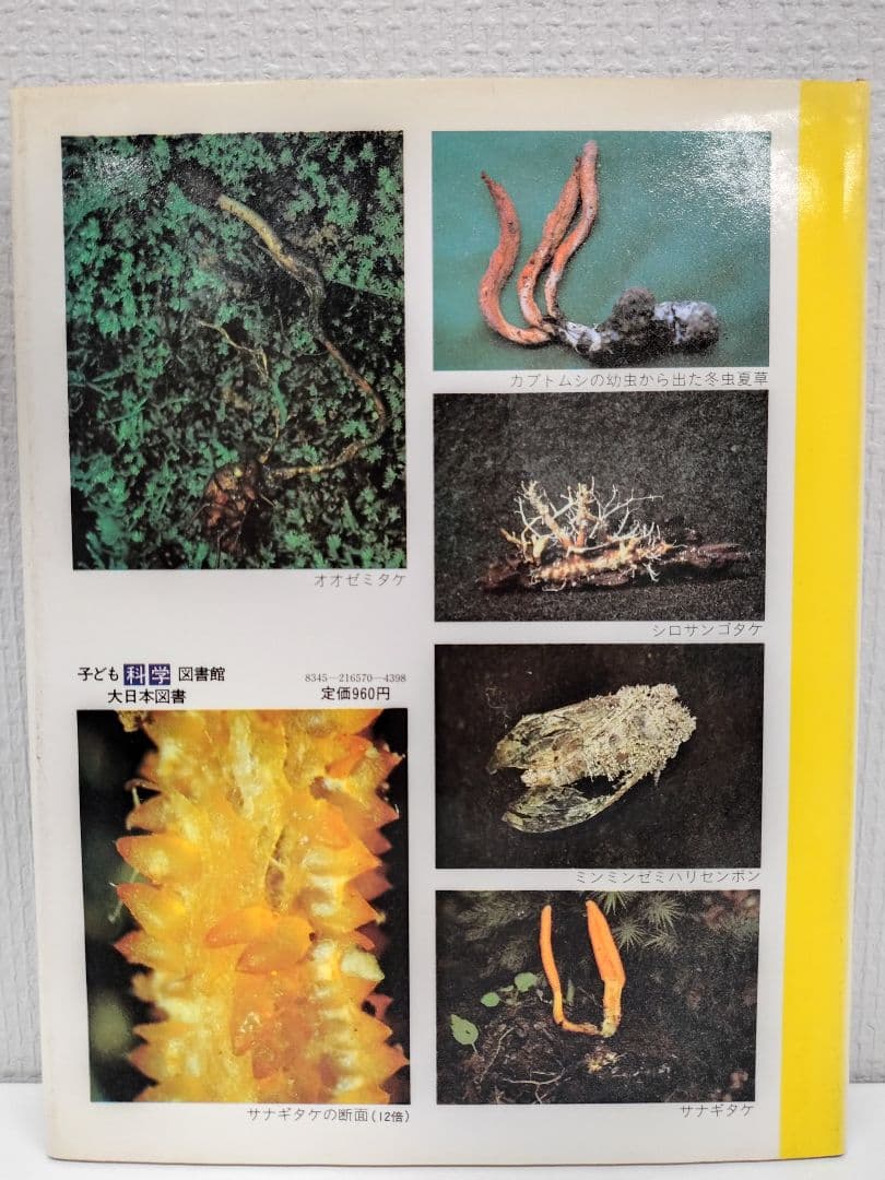 『虫をたおすキノコ』吉見昭一 著 子ども科学図書館 ムシに生えたきのこ 冬虫夏草