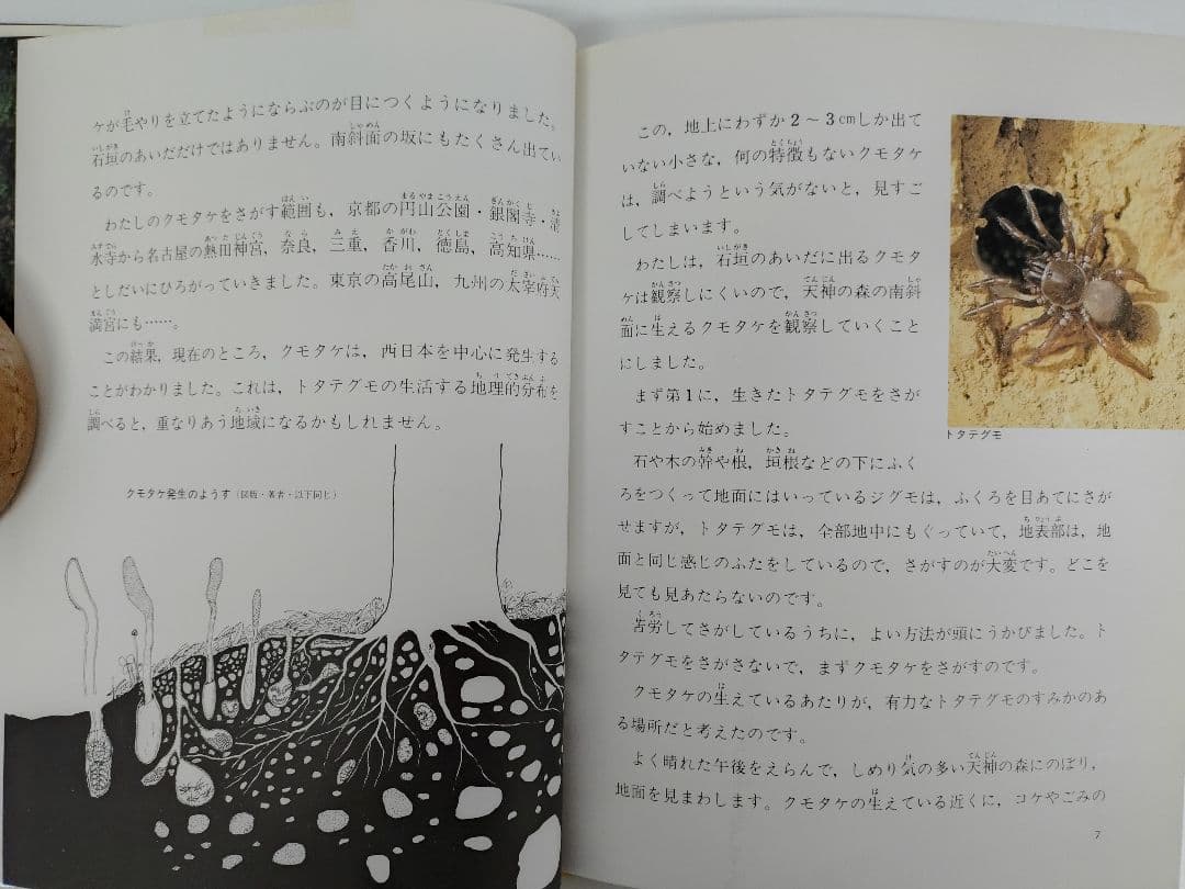『虫をたおすキノコ』吉見昭一 著 子ども科学図書館 ムシに生えたきのこ 冬虫夏草