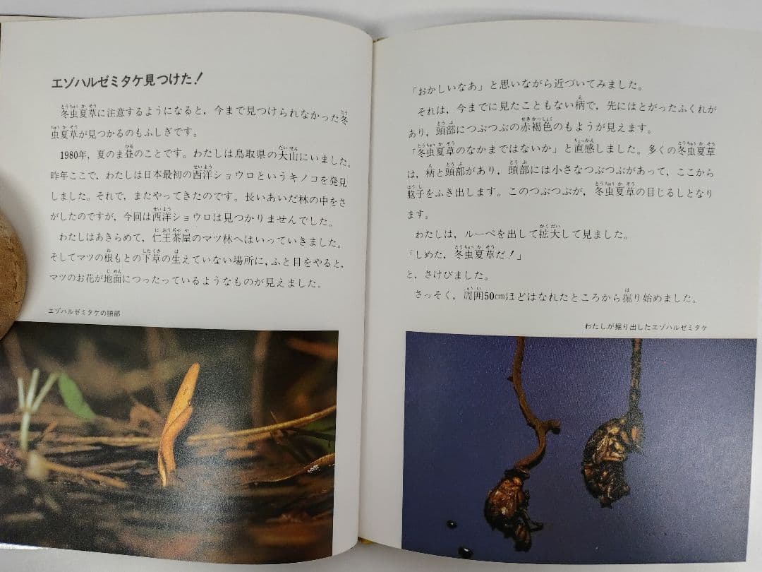 『虫をたおすキノコ』吉見昭一 著 子ども科学図書館 ムシに生えたきのこ 冬虫夏草