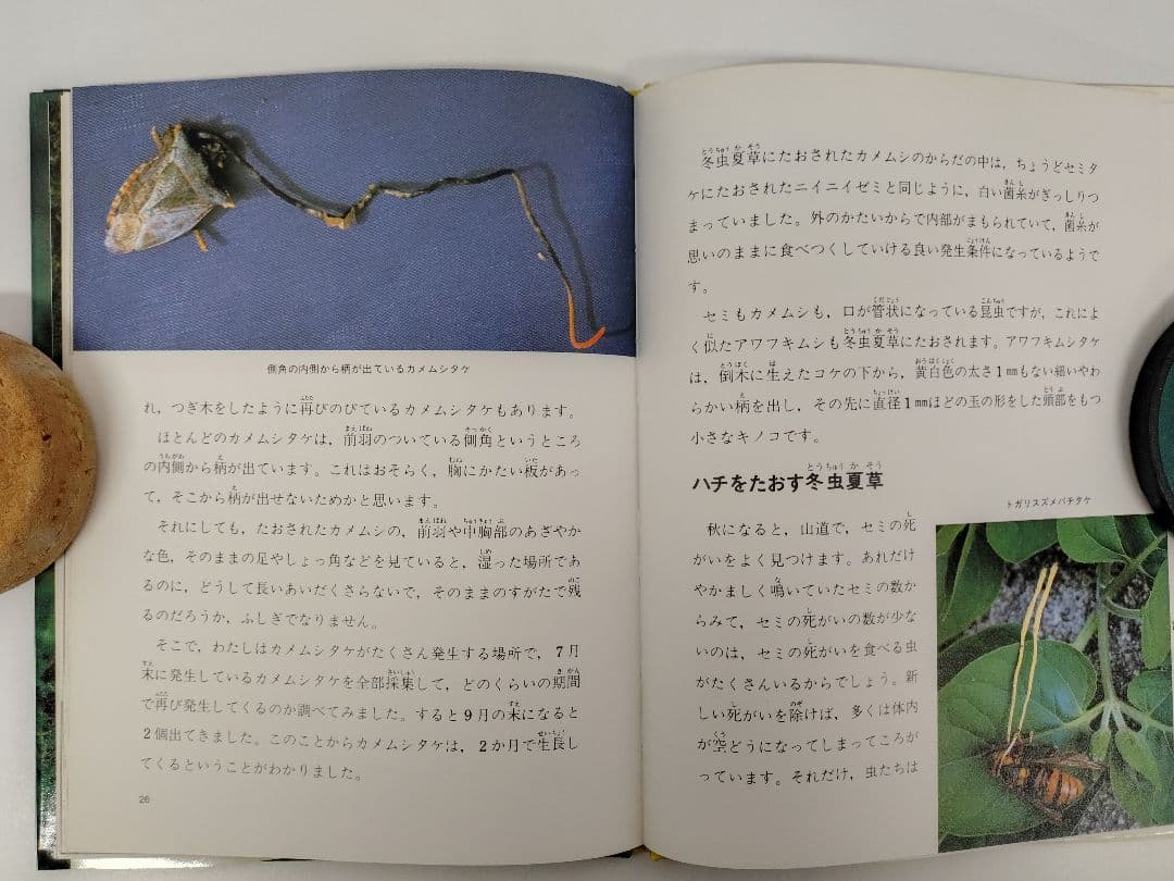 『虫をたおすキノコ』吉見昭一 著 子ども科学図書館 ムシに生えたきのこ 冬虫夏草