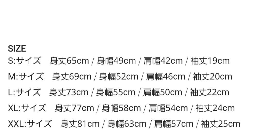 ハイスタ Hi-STANDARD SNBツアーT XXL 黒