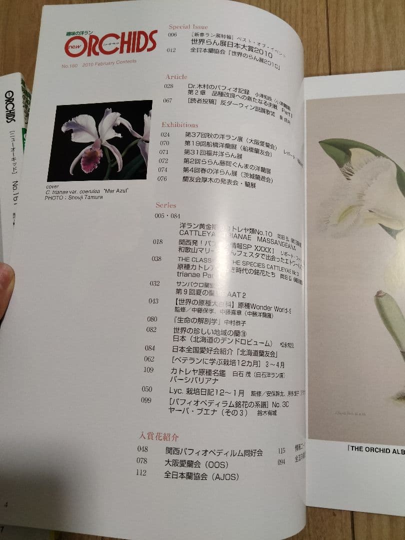 趣味の洋ラン　 ニューオーキッド　No160 ~169 10冊　早い者勝ち