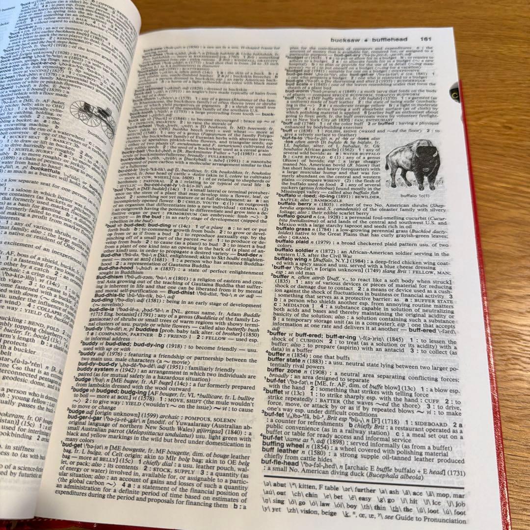 語学・辞書・学習参考書 Merriam-Webster's collegiate dictionary