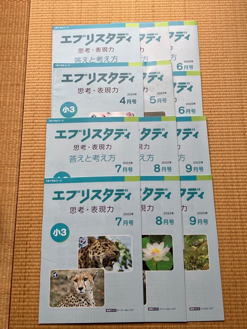 エプリスタディ 小3 思考表現力付き