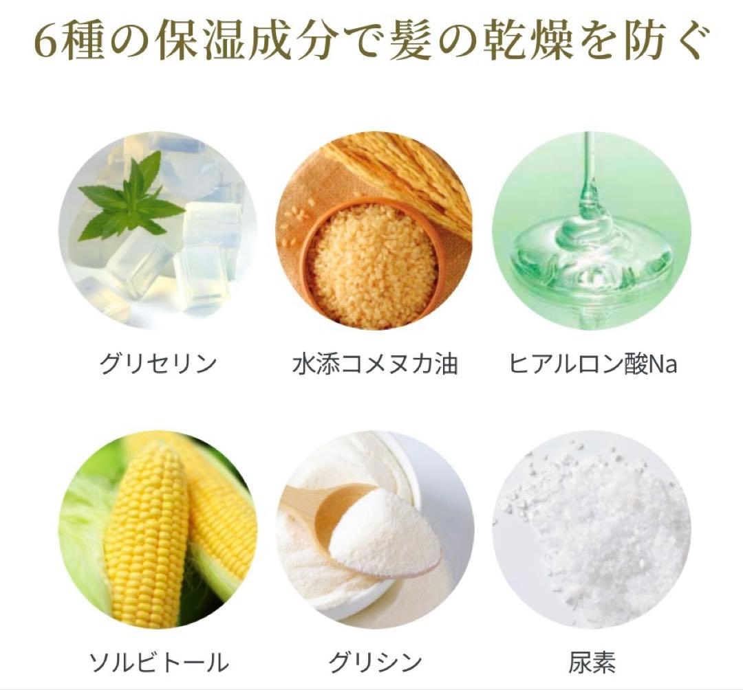 LpLp ヘアカラートリートメント[ダークブラウン]200g×2本セット