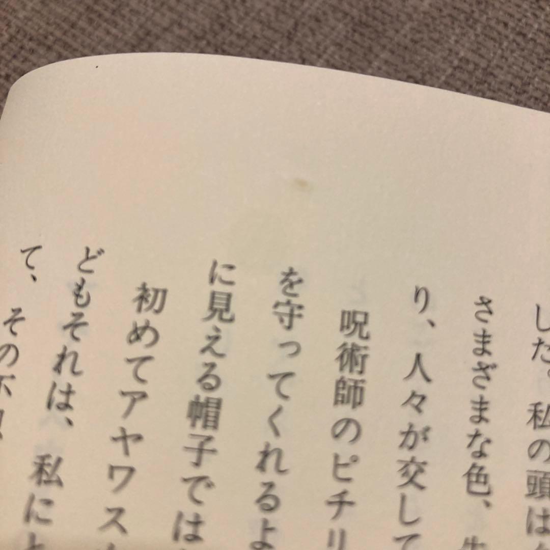 アマゾンの呪術師(シャーマン) パブロアマリンゴ　絶版
