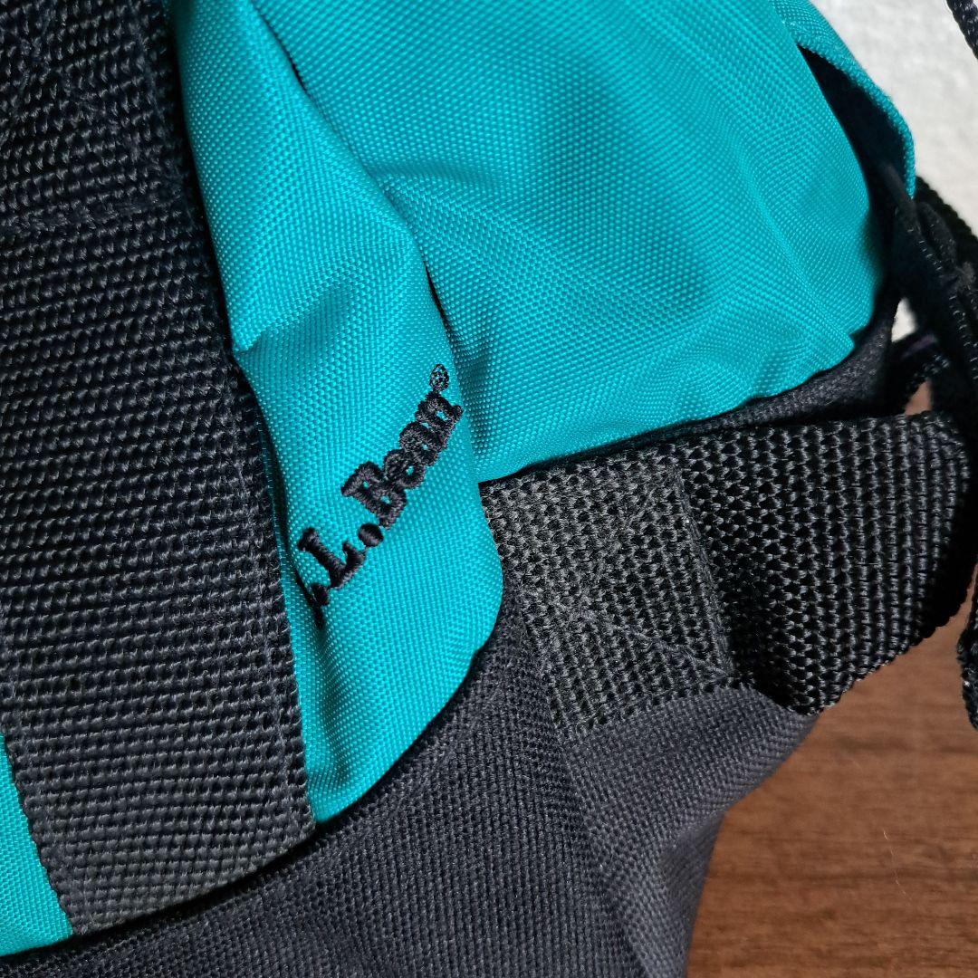 【極美品、希少】L.L.Bean エルエルビーン　ドラムバッグ　ヤモリ柄　90s