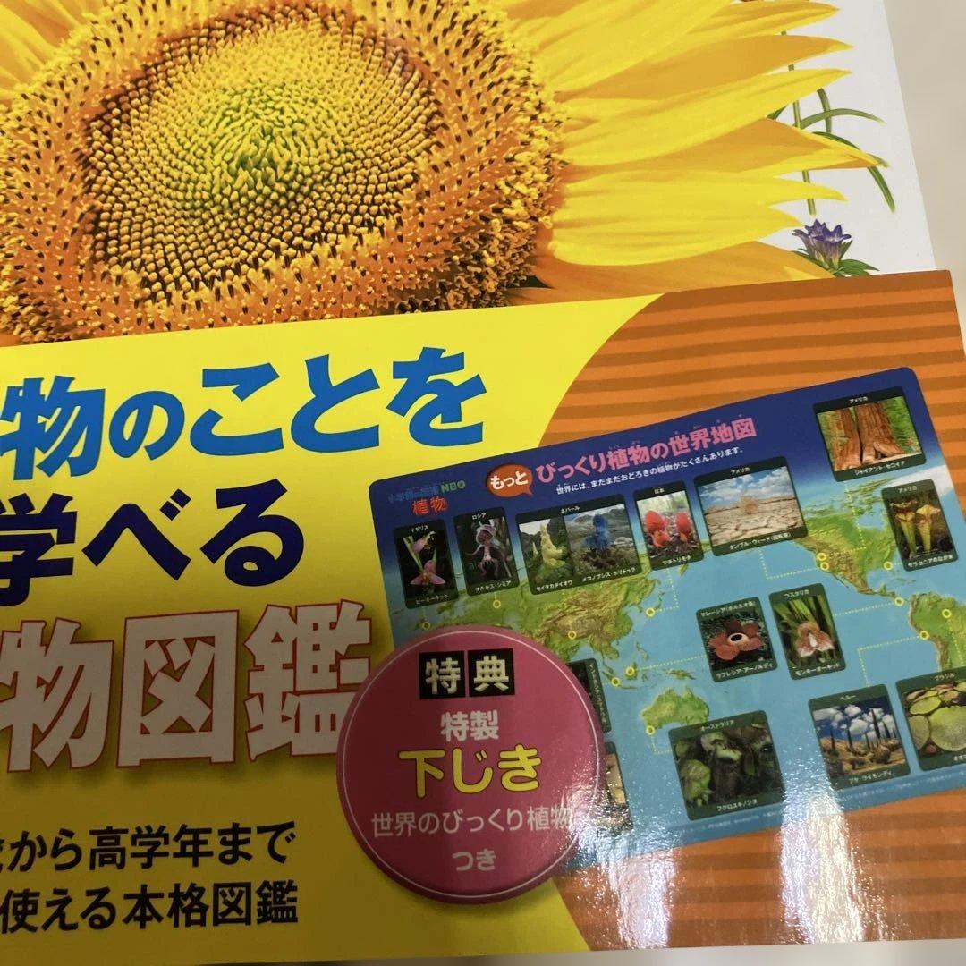 小学校の図鑑 NEO 新版 DVD付き 5冊セット