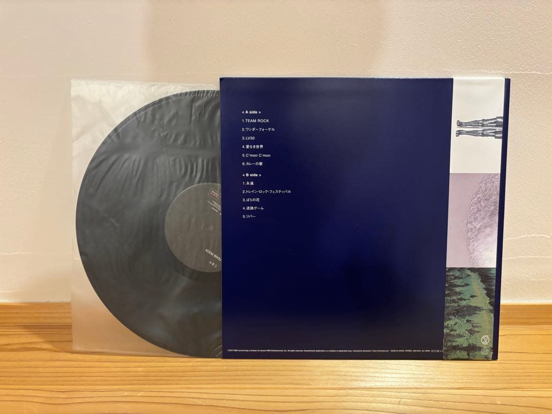 くるり TEAM ROCK レコード　アナログ盤