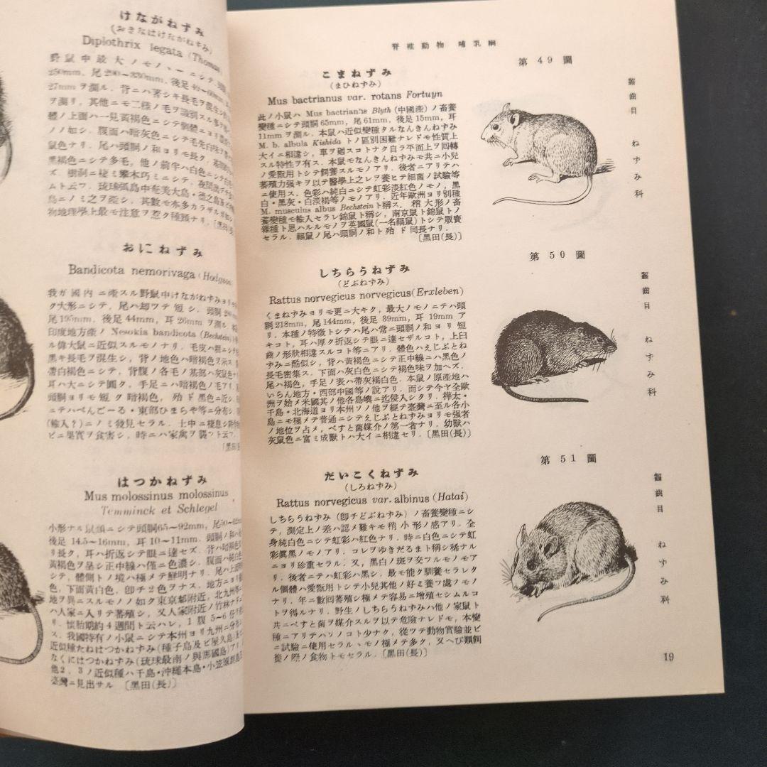 北隆館　日本動物図鑑　改訂増補