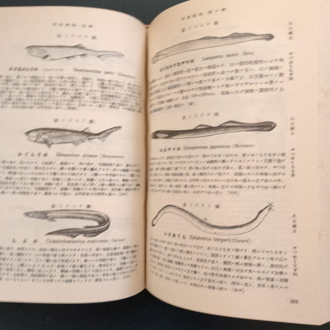 北隆館　日本動物図鑑　改訂増補