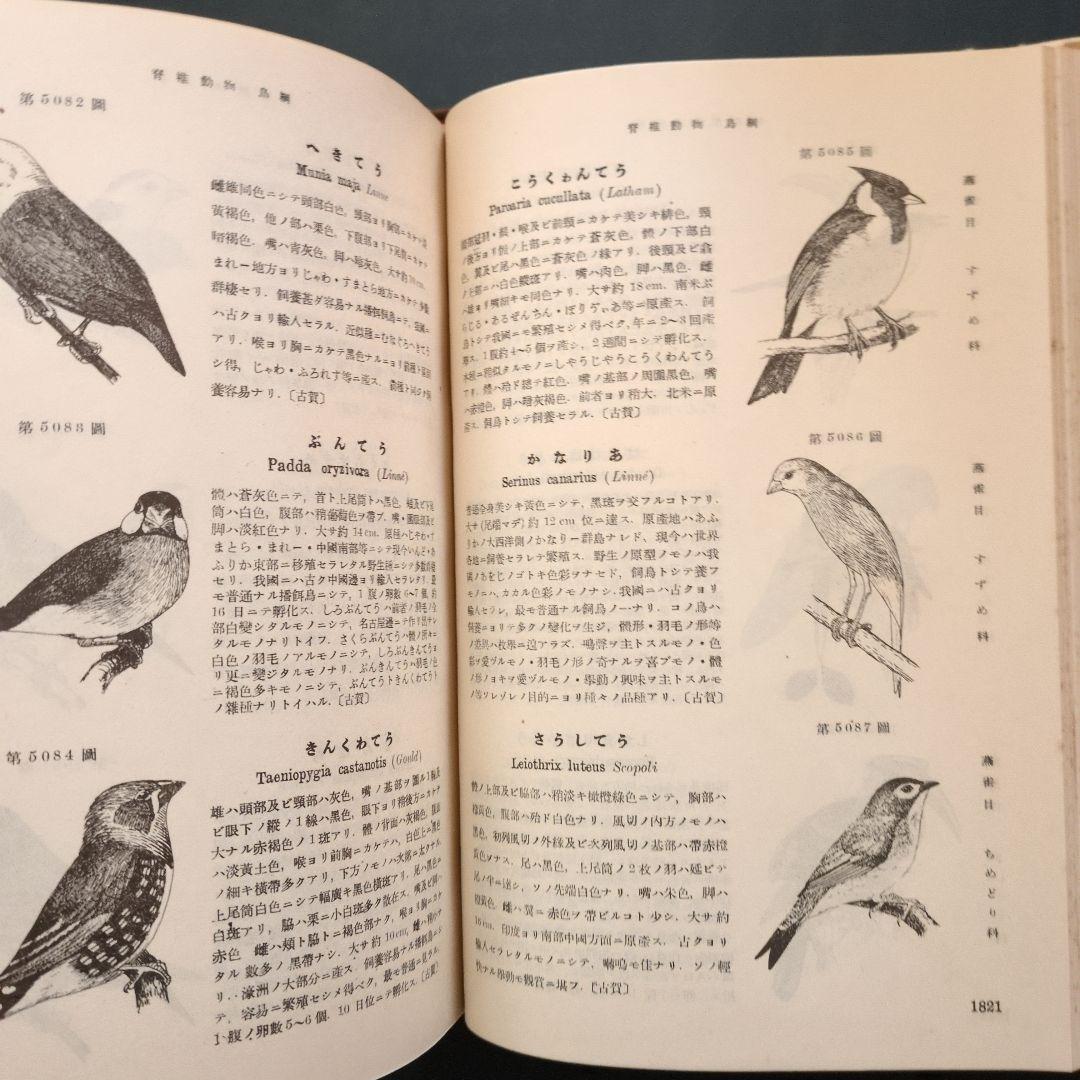 北隆館　日本動物図鑑　改訂増補