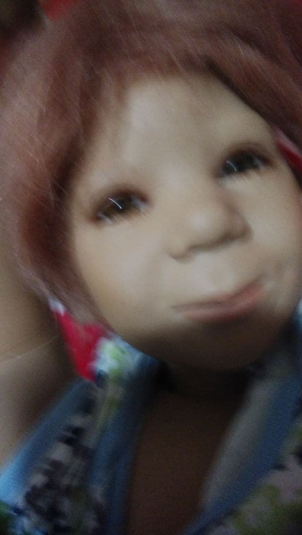 アネッテドール 2004 Hugo