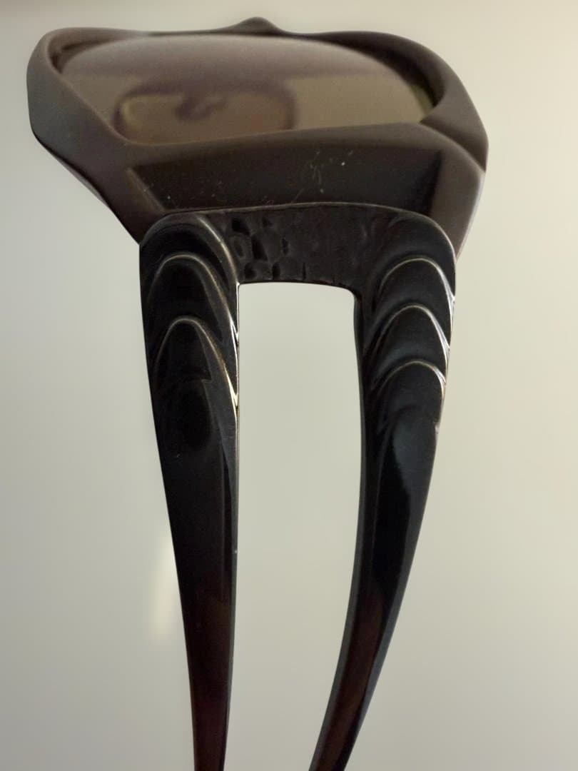 偏光グラス　Zeque by ZEAL OPTICS ヴァンク ガガ